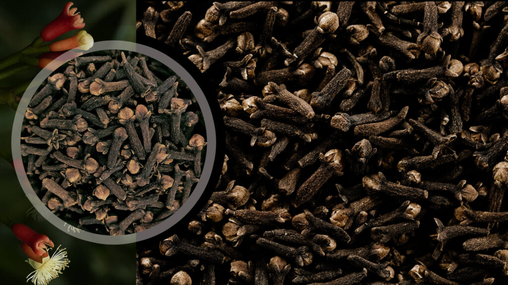 CLOVES SPICE