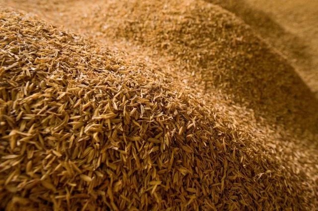 RICE BRAN